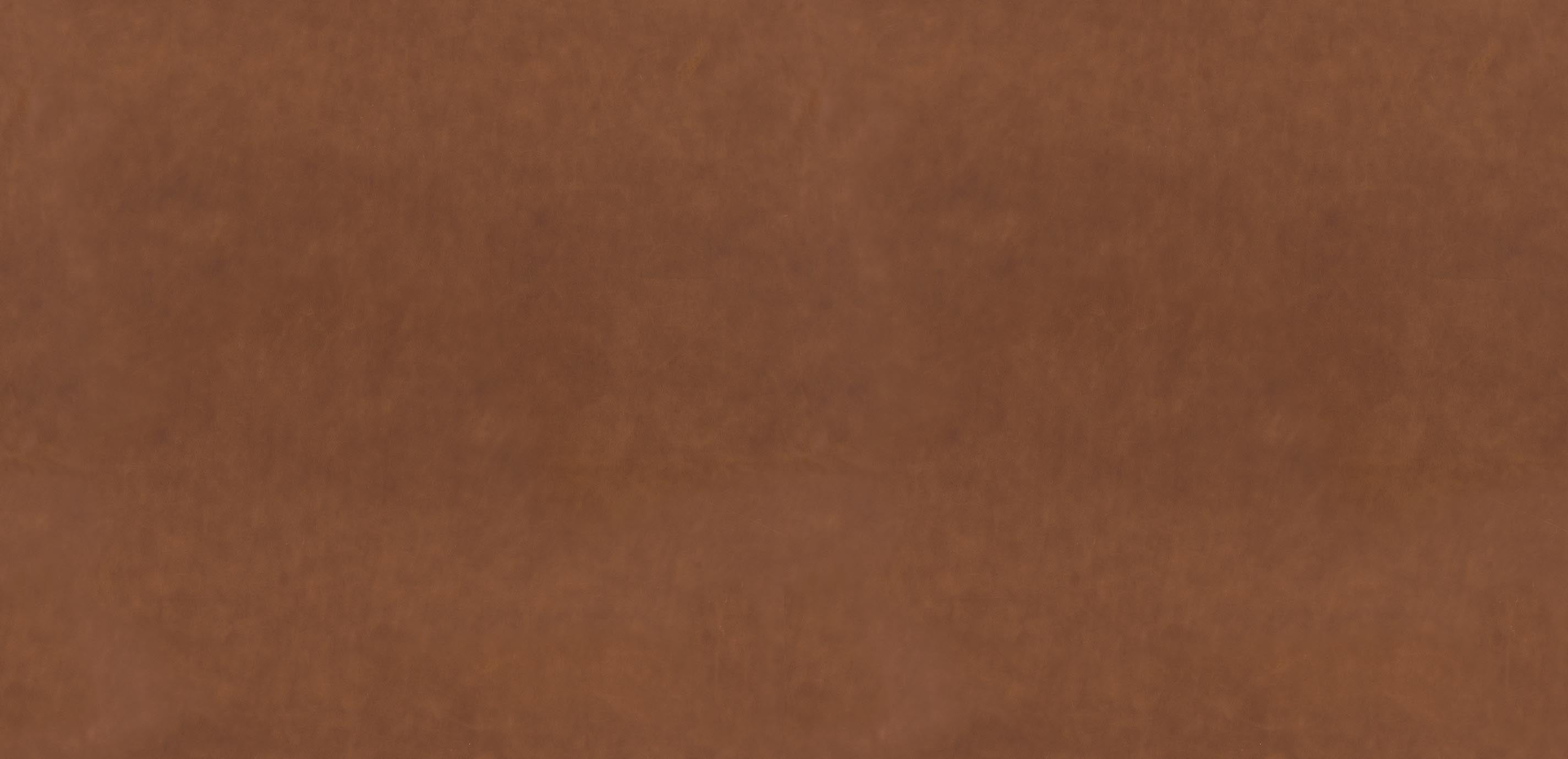 mobile primary image