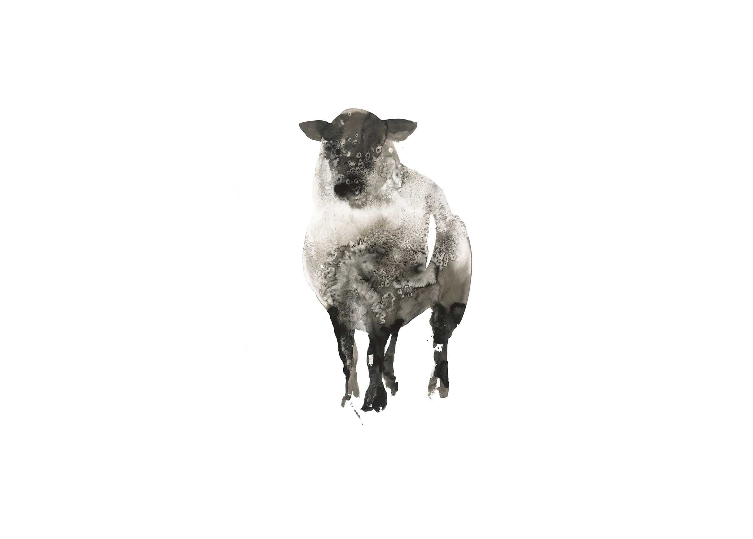 mobile primary image