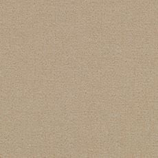 Benton Oatmeal (P0233): indoor outdoor textured woven swatch Benton Fabric