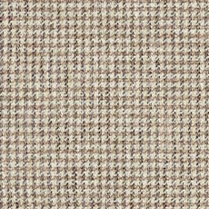 Wallace Birch (56370): small scale woven check swatch Wallace Fabric