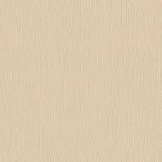 Bliss Ivory (P4132): indoor outdoor textured woven swatch Bliss Fabric