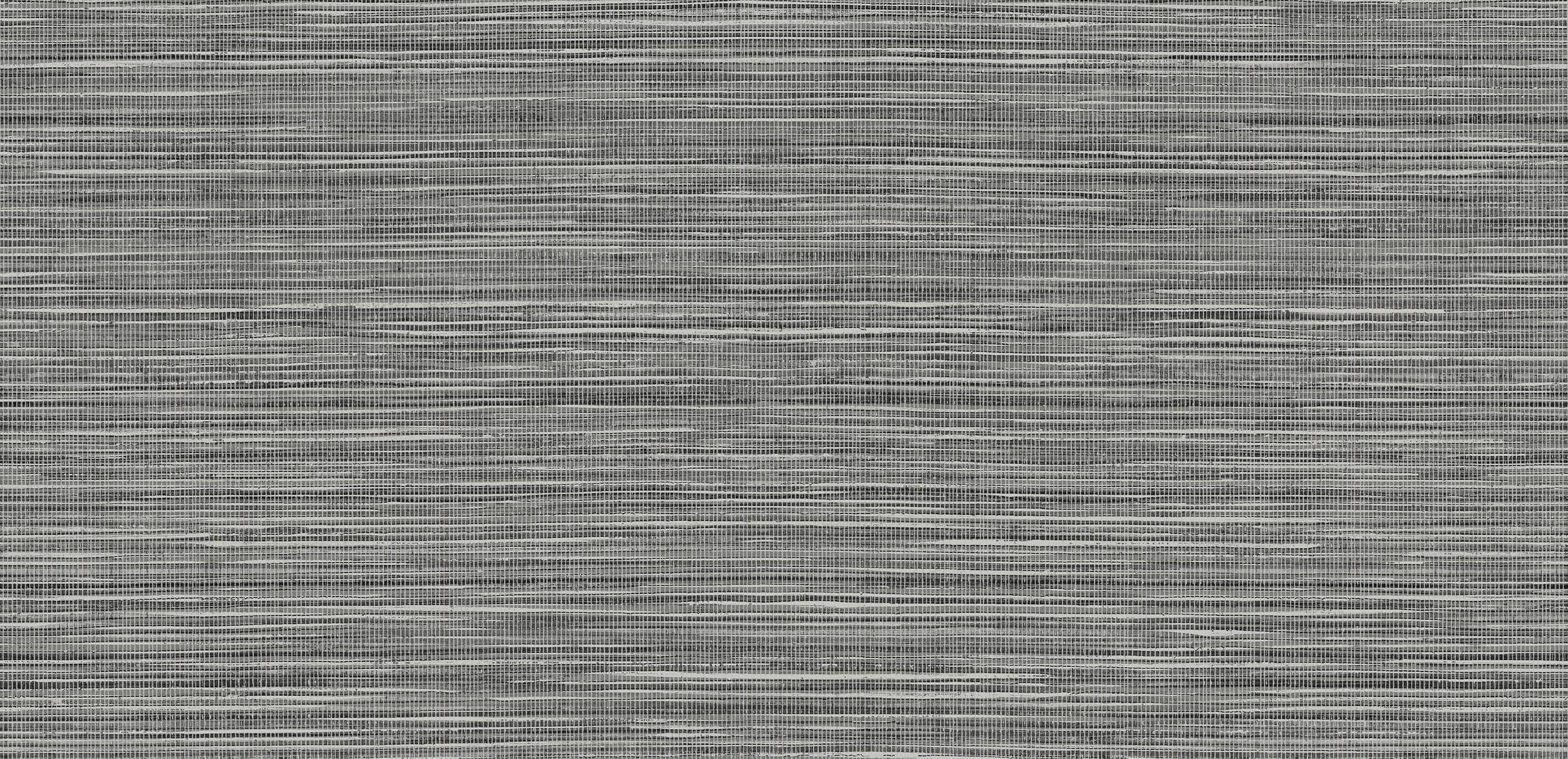 mobile primary image