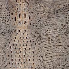 Bayou Latte (L7076) Leather: textured embossed leather swatch Bayou Leather