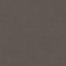 Tazza Charcoal (93454): embossed velvet animal texture swatch Tazza Fabric