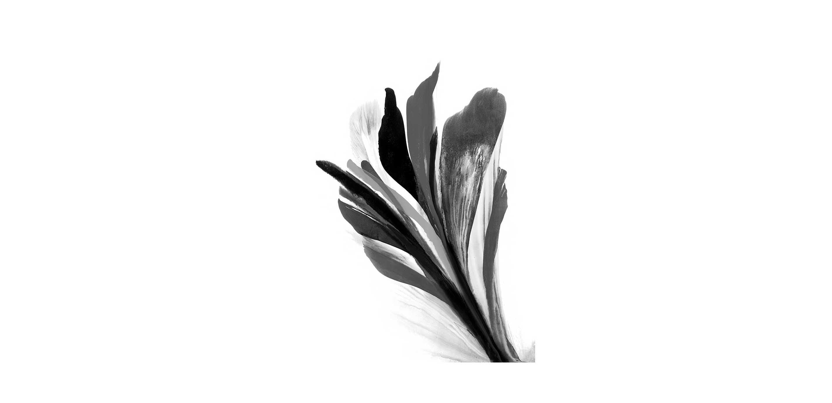 mobile primary image