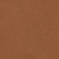 Lush Cinnamon (L6065) Leather,brushed suede-like leather swatch Lush Leather