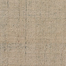 Prairie swatch Carlita Rug