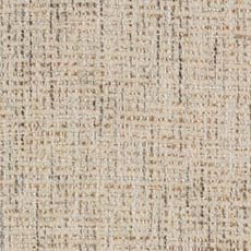 Brax Ivory (23632): textured woven solid swatch Artemis Dining Side Chair