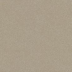 Cove Oatmeal (P3233): indoor outdoor casual woven swatch Cove Fabric