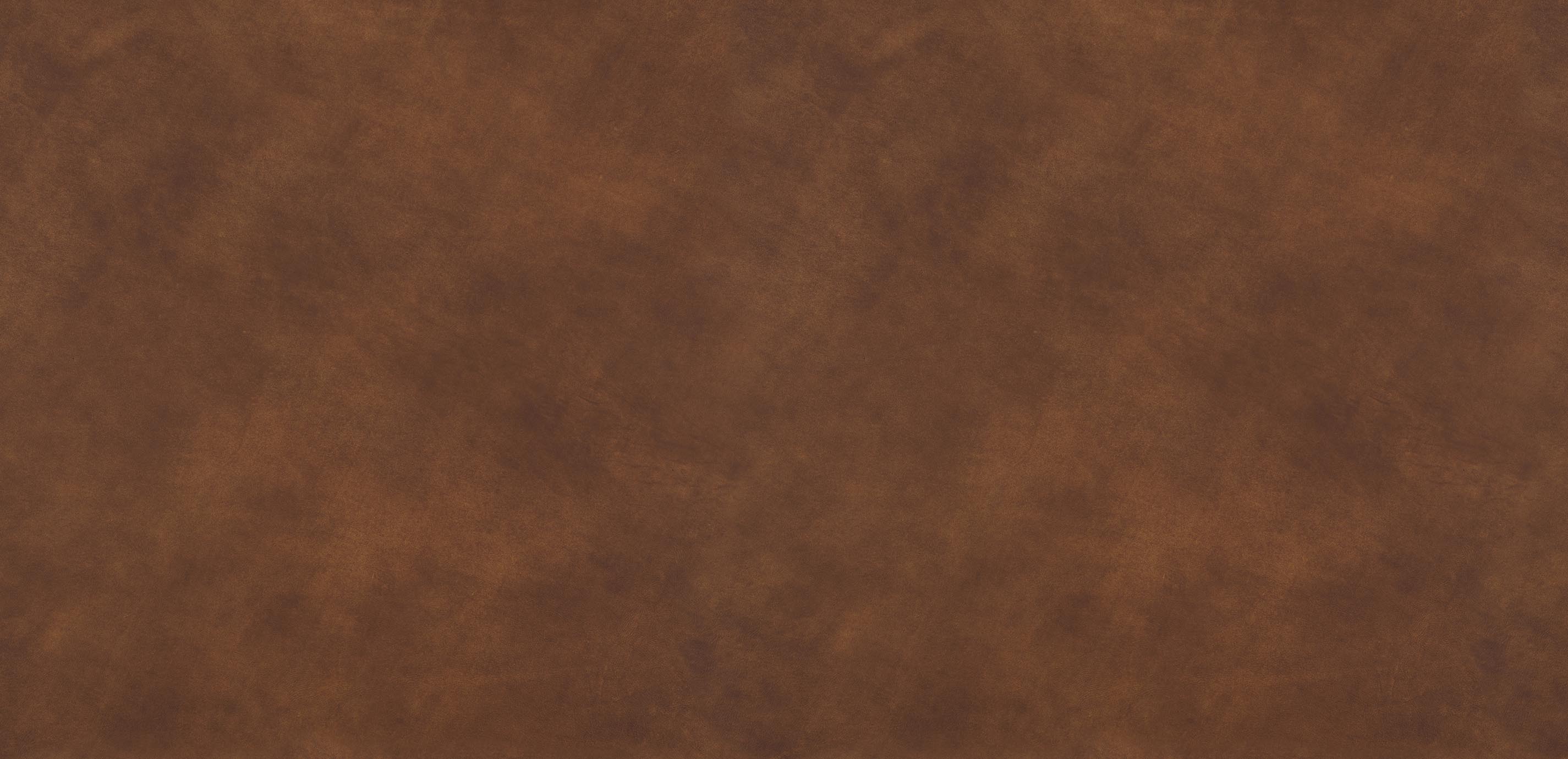 mobile primary image