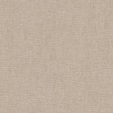 Branson Ivory (P1132): indoor outdoor chunky woven swatch Branson Fabric