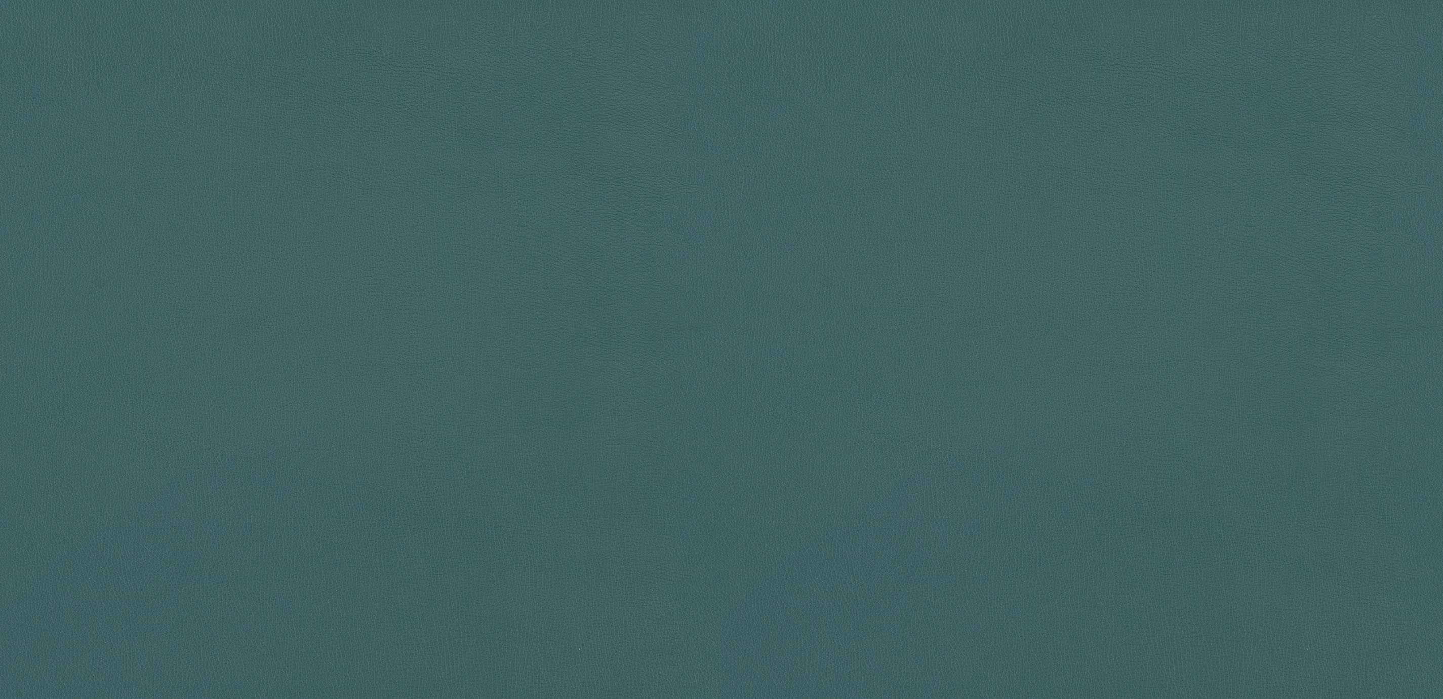 mobile primary image