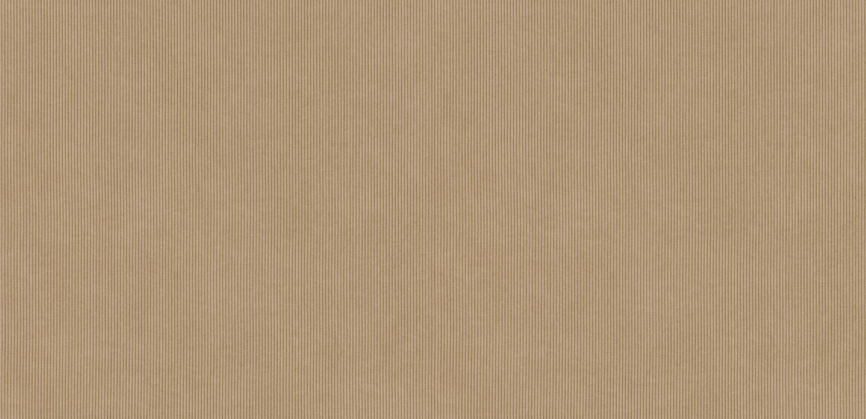 mobile primary image