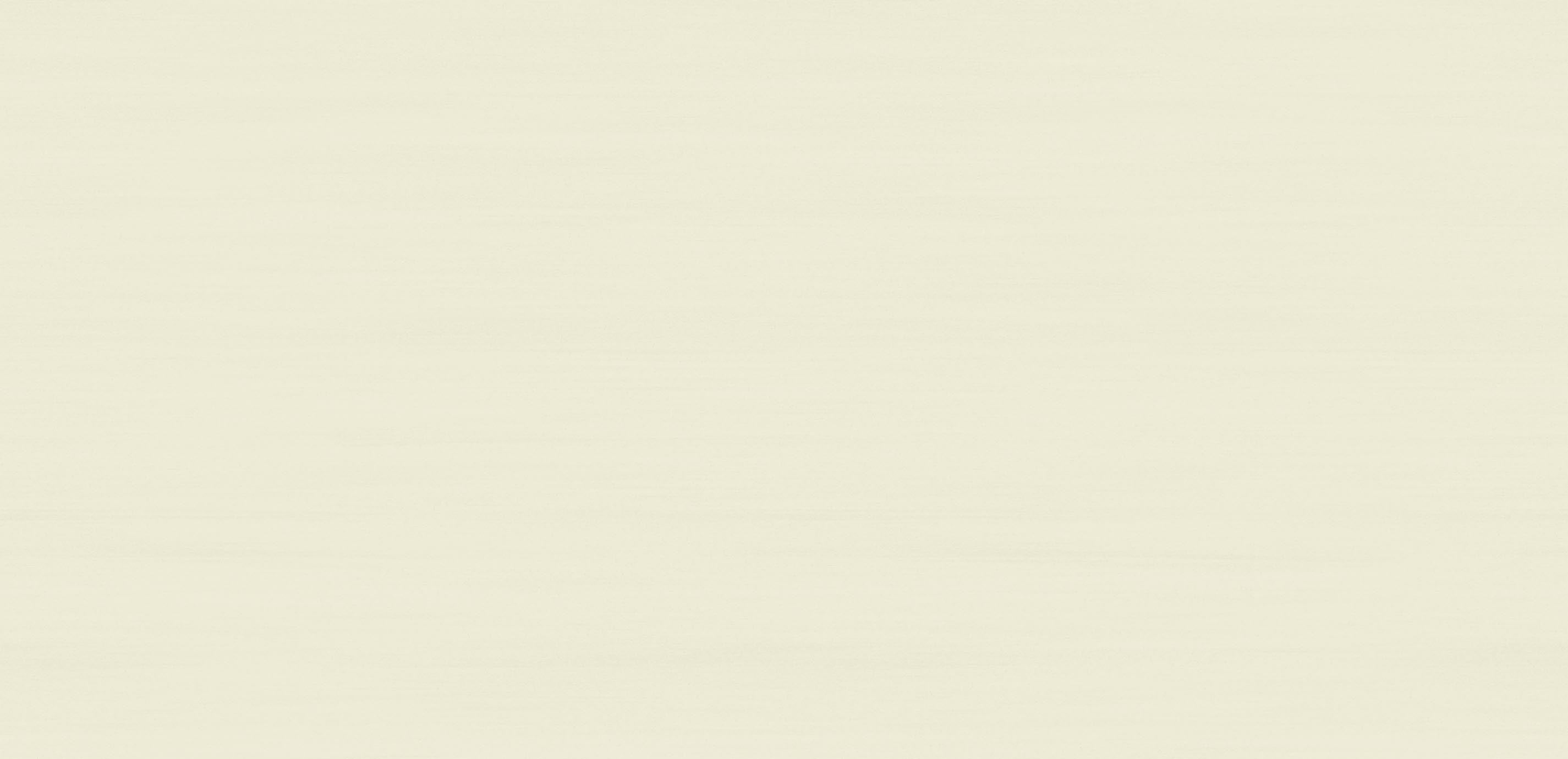 mobile primary image