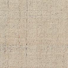 Plains swatch Carlita Rug