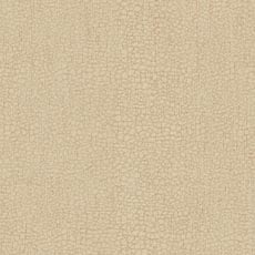 Action Ivory (P3732): indoor outdoor small scale woven swatch Action Fabric