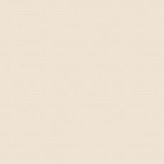Echo Ivory (P2032): indoor outdoor casual woven swatch Echo Fabric