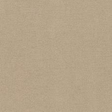 Baldwin Linen (72339): casual woven solid swatch Baldwin Straw Fabric By the Yard