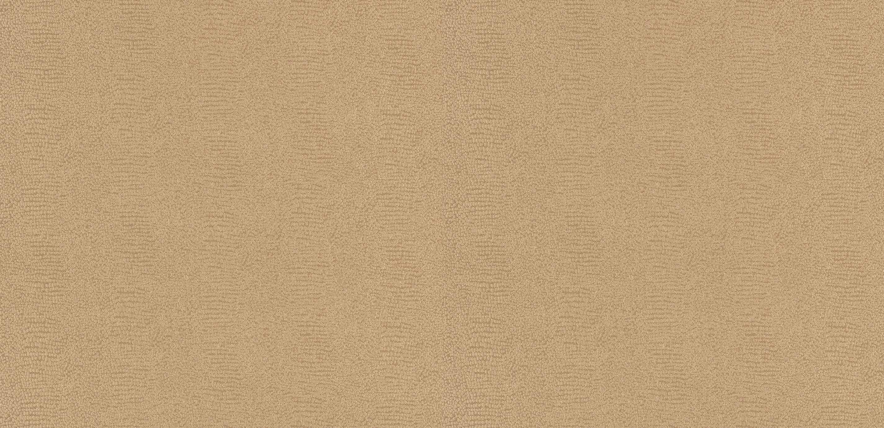 mobile primary image
