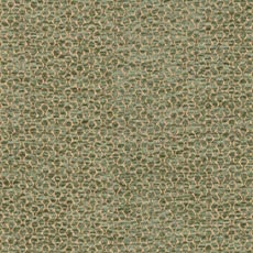 Helios Fern (60325): dimensional chenille coordinate swatch Helios Fabric