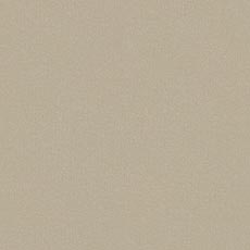Cove Ivory (P3232): indoor outdoor casual woven swatch Cove Fabric