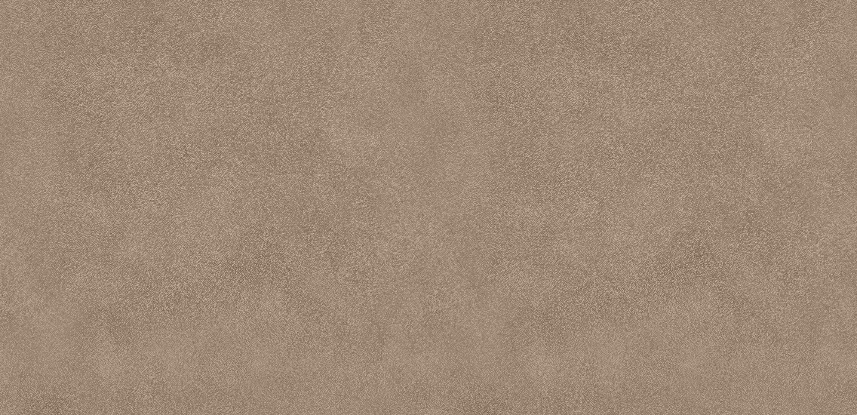 mobile primary image