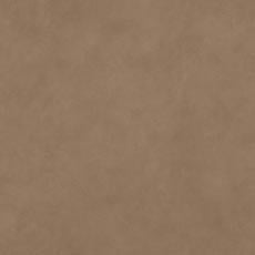 Sherwood Tan (L9871) Leather, smooth semi-aniline two-tone leather swatch Rowe Leather Upholstered Bed