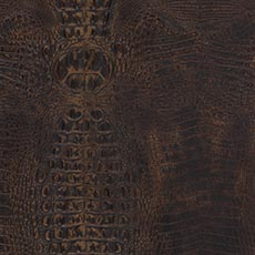 Bayou Brown (L7077) Leather: textured embossed leather swatch Bayou Leather