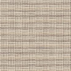 Frisco Birch (55770): textured woven coordinate swatch Frisco Fabric