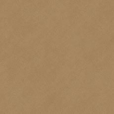 Monet Honey (61246): matte velvet solid swatch Monet Fabric
