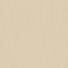 Kindle Ivory (60532): lush chenille solid swatch Kindle Fabric