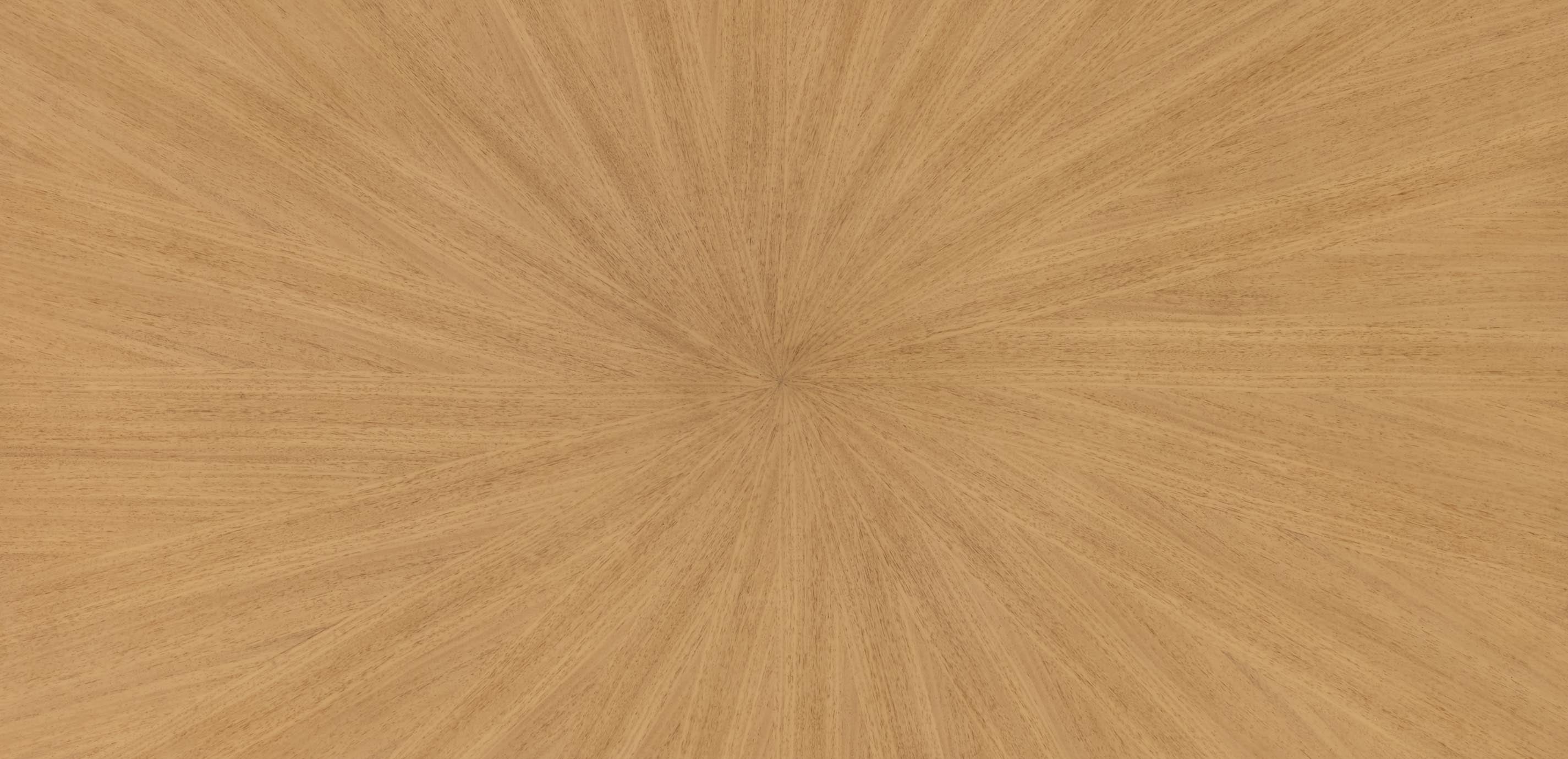 mobile primary image