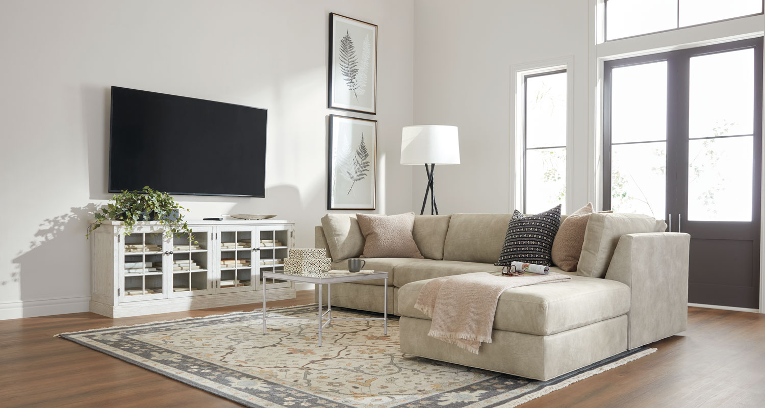 Daydreamer Ashburn Living Room Main Image